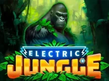 Evolve Casino screenshot